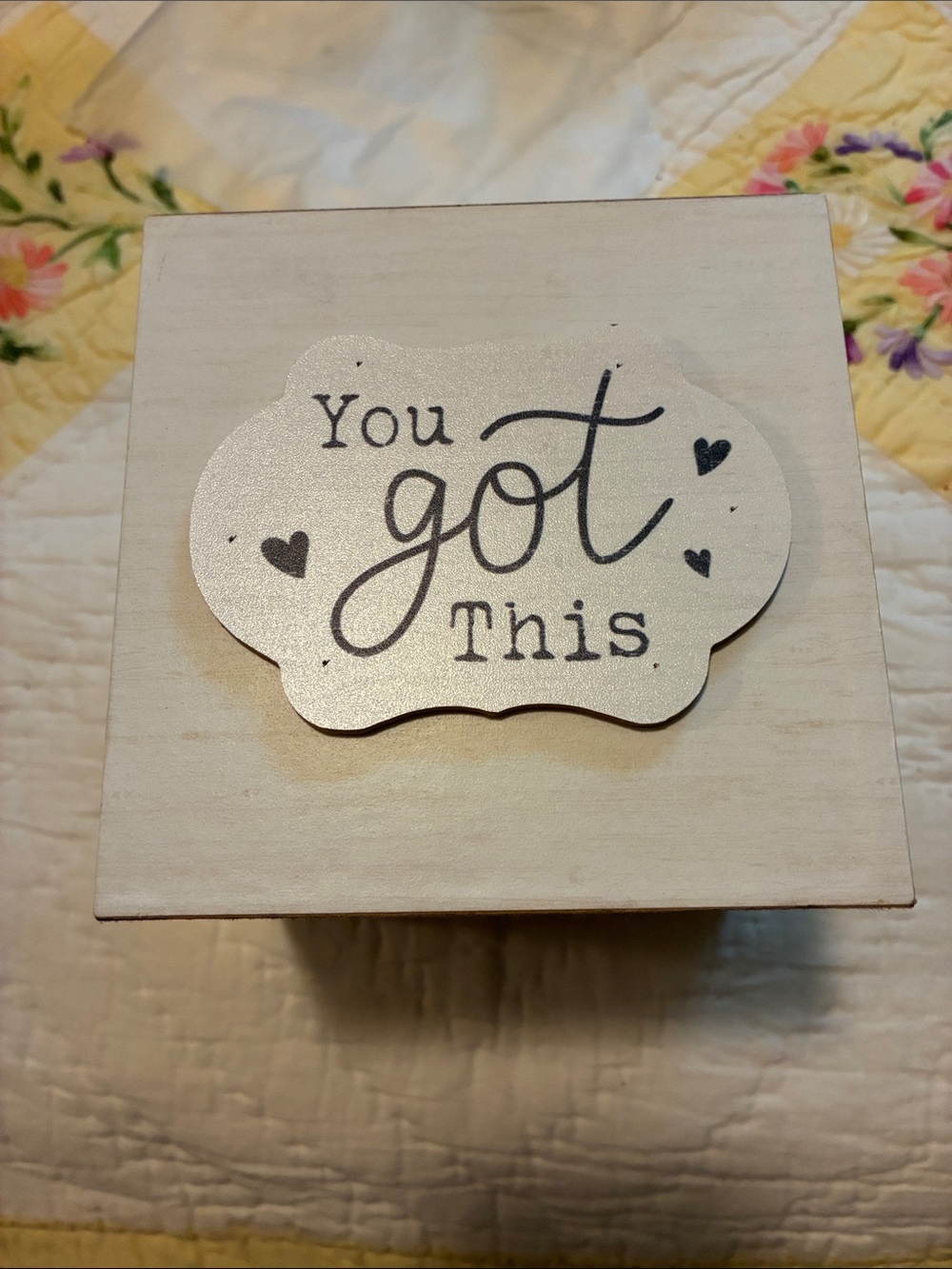 “You Got This” Decorative Motivational Shabby Chic Storage Cube- White/Natural